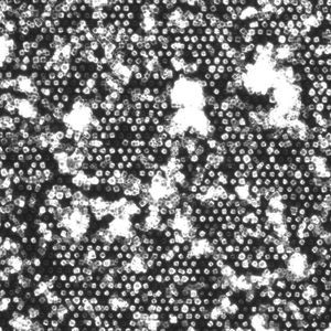 (Philip Roedig, DESY)