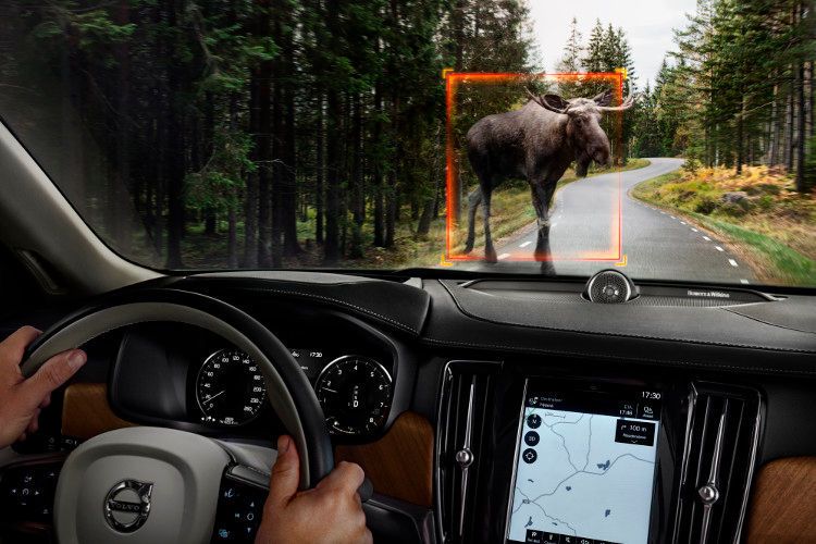 Der S90 erkennt bei Tag und Nacht große Tiere wie Elche, Rentiere, Pferde oder Kühe und reduziert die Gefahr von Kollisionen durch Warnanzeigen und Bremseingriffe oder verhindert einen Aufprall ganz. (Foto: Volvo)