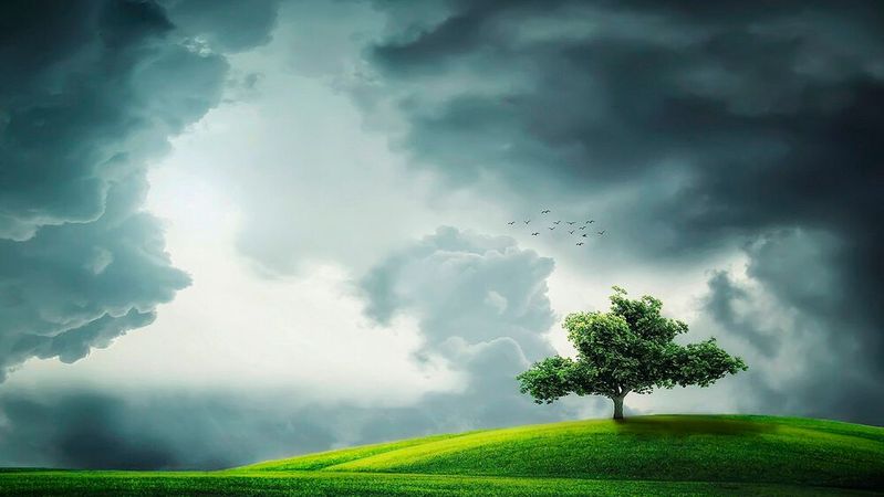 Dunkle Wolken: Während nach wie vor erstaunlich viele Menschen an der menschengemachten globalen Klimakrise zweifeln, drängen immer mehr Industrievertreter zum raschen und massiven Handeln. Dunkle Wolken: Während nach wie vor erstaunlich viele Menschen an der menschengemachten globalen Klimakrise zweifeln, drängen immer mehr Industrievertreter zum raschen und massiven Handeln.