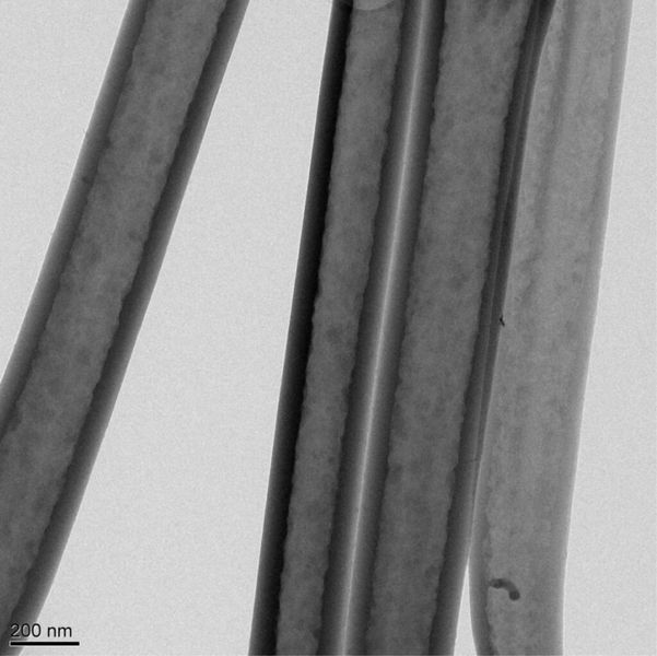 Das Elektronenmikroskop-Bild zeigt vier der hohlen Polymer-Nanofäden... (GeorgiaTech)