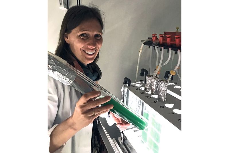 Dr. Kirstin Gutekunst sucht nach Wegen, mithilfe von Cyanobaterien und Sonnenlicht klimafreundlichen Wasserstoff als Energieträger zu erzeugen. (Bild: Dr. Jens Appel)