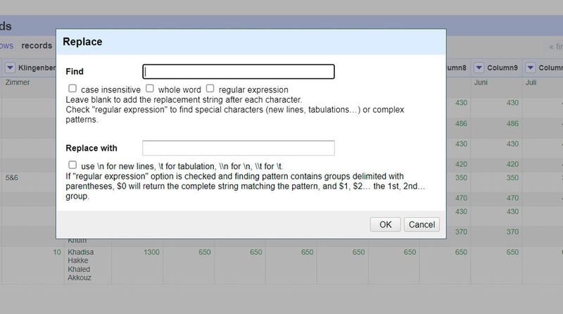 Bei der Bereinigung lassen sich auch große Datenmengen korrigieren und ersetzen.  (Bild: T. Joos)