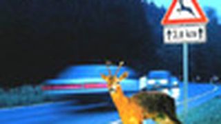  (Archiv: Vogel Business Media)