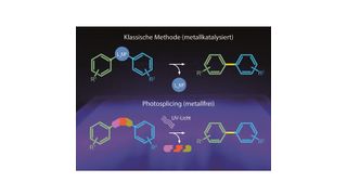 Zur Synthese von Biarylen werden auf dem klassischen Weg (oben) Schwermetalle enthaltende Katalysatoren eingesetzt (blauer Kreis). Die neue, metallfreie Photosplicing-Technologie (unten) nutzt einen Sulfonamid-linker, der unter UV-Licht in gasförmige Fragmente zerfällt. Dabei bildet sich das gewünschte Endprodukt. (Florian Kloß/HKI)