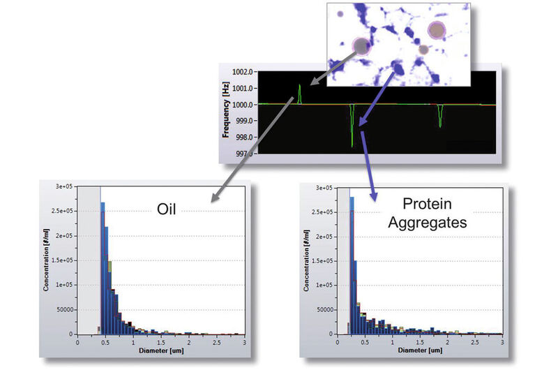 Abb.3: Differenzierung von Silikon-Öl und Protein-Partikel mittels Resonant Mass Measurement (Archimedes). (Bild: Malvern)