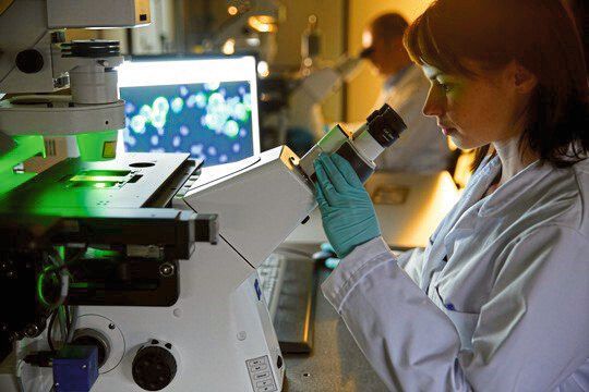 Forschende haben einen grundlegenden Mechanismus aufgeklärt, der für das Verklumpen von Linsenproteinen verantwortlich ist, welche letztlich den Grauen Star bedingt. (Symbolbild)(Bild:  © MedUni Graz)