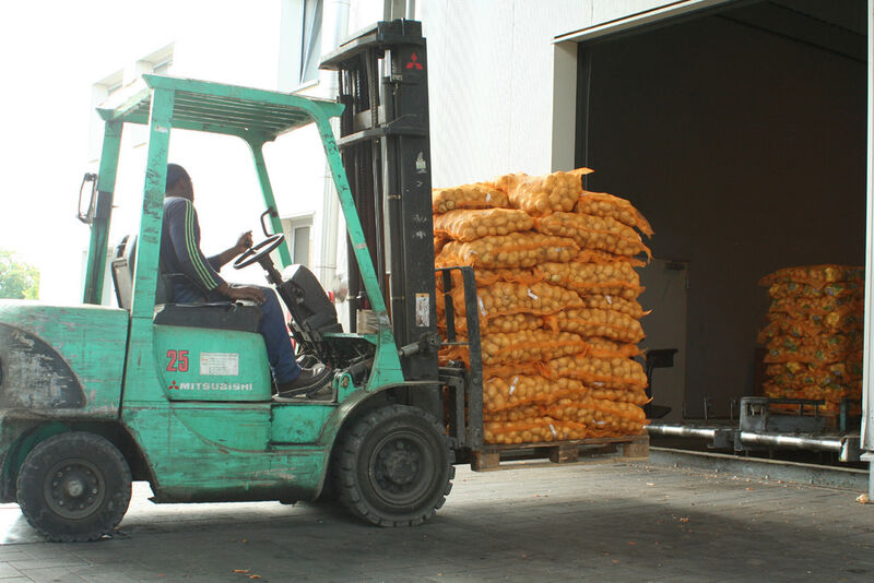 Kartoffeln auf dem Weg zum LKW. (Bild: Stratus)