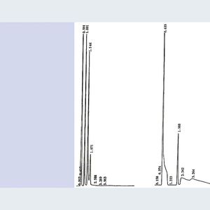 Abb.1: Pyridin/Benzylamin/Phenol-Test an einer stark silanophil (LiChrospher, C67) und einer hydrophoben Phase (Gromsil CP, C79) in Acetoinitril/Wasser; Links: Uracil, Pyridin, Benzylamin, Phenol, Rechts: Uracil (mit Verunreinigungen), Phenol, Pyridin, Benzylamin.