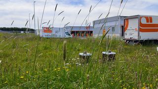 Trans-O-Flex setzt auf naturnahe Umstrukturierung seiner Grünflächen. Bienenvölker sollen dort auch ein Zuhause finden, wie hier bereits am Standort Driedorf. Wie es weiter geht und was das soll, erfahren Sie hier. (Bild: Trans-O-Flex)