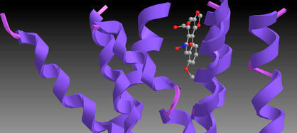 3D-Modell: Ligand in Bindungstasche des Bitterrezeptors TAS2R14  (Leibniz-LSB@TUM )