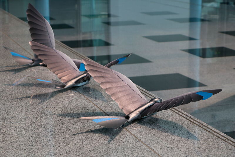 Sichere Flugakrobatik im Schwarm: Die Bionic Swifts sind agil, wendig und können sogar Loopings und enge Kurven fliegen. Durch das Zusammenspiel mit einem Indoor-GPS auf Funkbasis können sich die fünf künstlichen Schwalben dabei koordiniert und autonom in einem abgesteckten Luftraum bewegen. (Ute Drescher/konstruktionspraxis)
