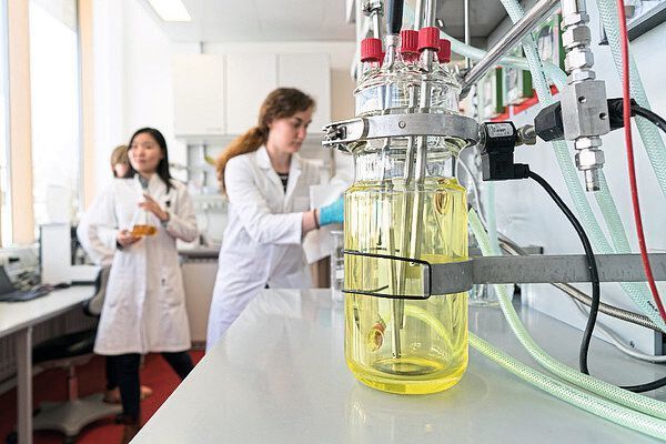 Deutsche und chinesische Wissenschaftlerinnen suchen nach biotechnologischen Methoden um funktionelle Lebensmittel herzustellen.  (Universität Hohenheim / Wolfram Scheible)