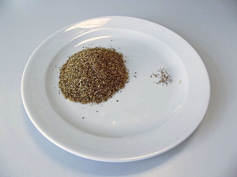 Fig.4: Chopped Chamomile (left), spiked with 0.1 % ragwort (right). (Gerstel)