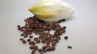 Chicorée und Röstkaffee enthalten Bitterstoffe. (Bild: Gisela Olias/LSB)