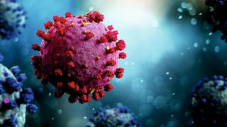 Das Coronavirus SARS-CoV-2 lässt sich über die Immunantwort von T-Zellen nachweisen (©Production Perig - stock.adobe.com)