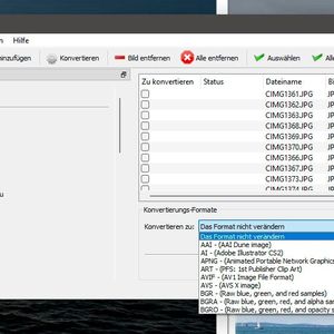 Auswählen der verschiedenen Formate, zu denen Bilder konvertiert werden können.(Bild:  Joos (Screenshot))