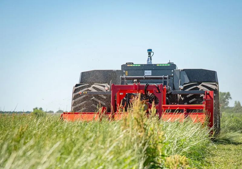 Ein autonomer Feldroboter „AgBot“ des Herstellers Agxeed beim Mulchen. (Bild: Wolfgang Ehrecke)