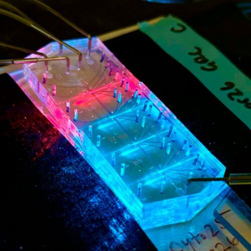 The new mechanophenotyping cytometer, developed by researchers from Brown and NIST, can be used to look at 60 to 100 cells per second, with rates up to hundreds or even thousands of cells per second being possible. (Source:  Graylen Chickering/Brown University.)