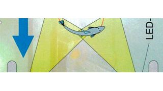 Systemdarstellung der Vergrämung im Einlaufbereich von Schöpfwerk, die der Be,- und Entwässerung dienen. (Bild: Kolless)