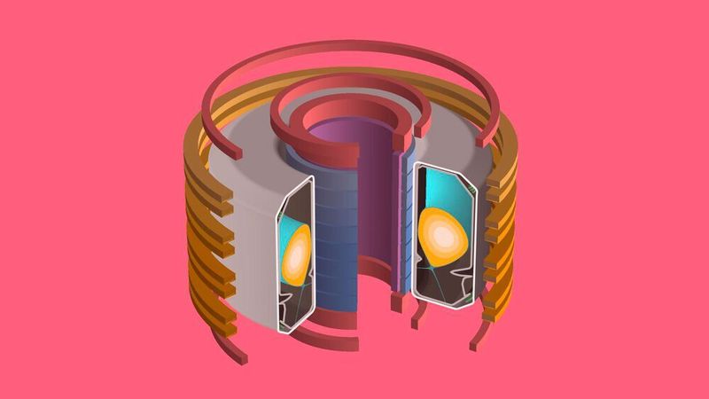 3D-Modell des TCV-Vakuumgefäßes, das das Plasma enthält und von verschiedenen Magnetspulen umgeben ist, die das Plasma an seinem Platz halten und seine Form beeinflussen.  (DeepMind & SPC/EPFL)