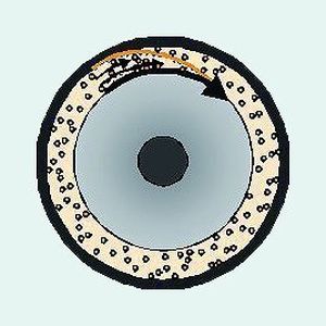 2  Eine 2D-Grenzfläche kann mit der Rheologie präzise untersucht werden.