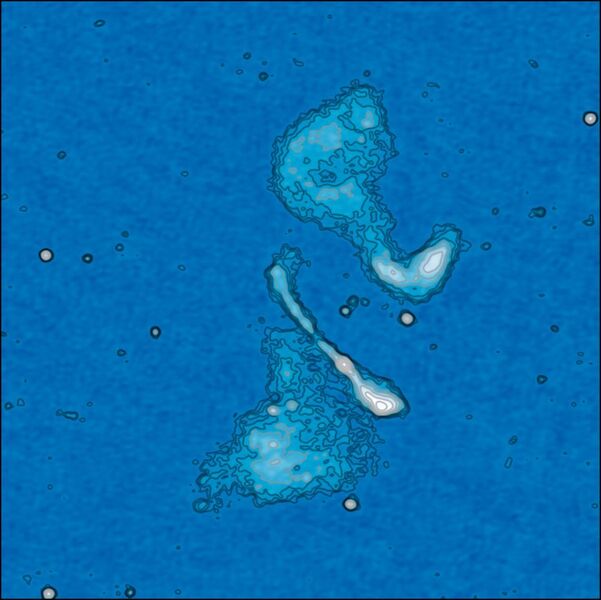 17: LOFAR-Bild der „Schnurrbart Galaxie“, einer mysteriösen Struktur, die wahrscheinlich durch einen Radiojet entstanden ist (Tim Shimwell and the LOFAR surveys team / CC BY 3.0)