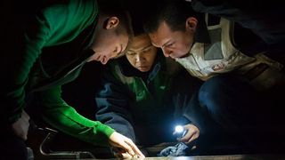 Laut einer aktuellen Studie tappen viele Unternehmen beim Thema Industrieservice noch im Dunkeln: Nur rund die Hälfte der Befragten gab an, eine eigene Servicestrategie zu verfolgen. (gemeinfrei)