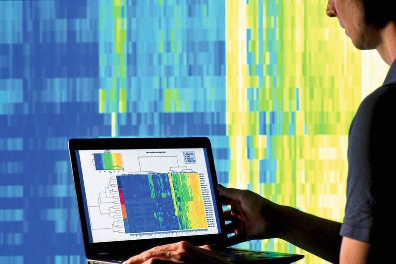 Datenverarbeitung, Analyse und Auswertung des Gentests zur Methylierung sind in einer einzigen Benutzeroberfläche vereint. (Fraunhofer IME/Bernd Mülle)