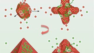 Das Rätsel des Wachstumsmechanismus von Platonischen Katalysatoren ist gelüftet: Oktaedrische Platin-Nickel-Nanopartikel werden in Form von Kub-Oktaedern geboren (oben links). An diese lagern sich die Platin-Atome (rot) bevorzugt an und bilden sechsarmige „Hexapods“ (oben rechts). Zwischen den Platin-Atomen (unten rechts) wiederum lagern sich die Nickel-Atome (grün) bevorzugt an und vervollständigen so das Oktaederpartikel (unten links). (Bild: FG Elektrokatalyse-Elektrochemie-Materialien)