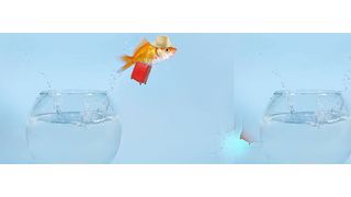 Wer von „IBM Notes“  zu „Microsoft Sharepoint“ wechseln möchte, tut sich etwas an .... wenn nicht Partner und Hilfsmittel bereitständen.  (© grafikplusfoto - stock.adobe.com )