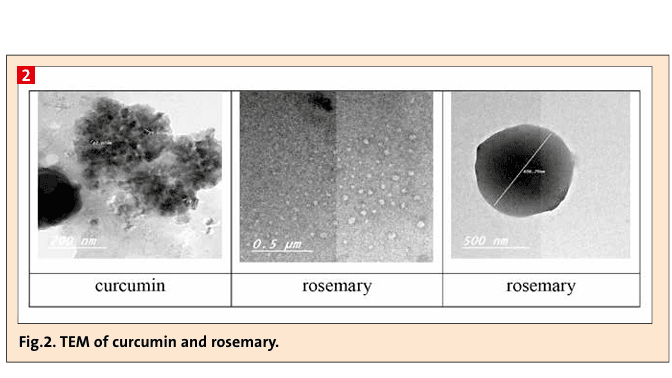 TEM of curcumin and rosemary.(Bild:)