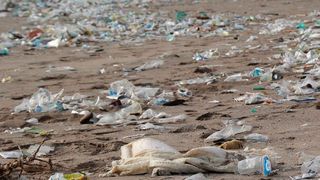 8 million metric tons of plastic waste are added to the world’s oceans, much of it from rivers and mismanaged plastic and municipal waste from Asia.  (Pixabay)