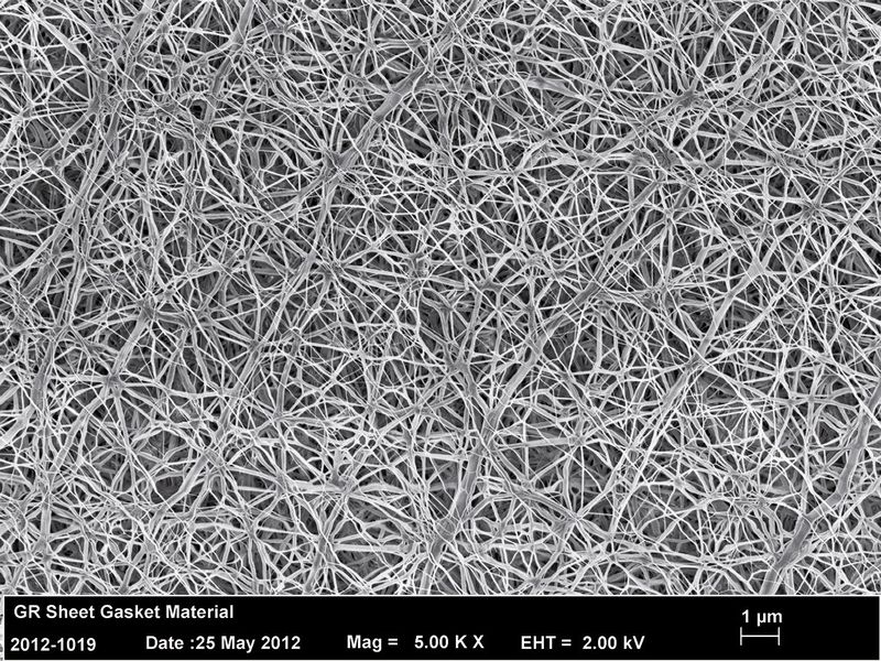 REM images of the Gore ePTFE (Picture: Gore)