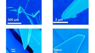 Hier blickt man auf elektronenmikroskopische Aufnahmen der haarförmigen Strukturen, in denen die Molybdänen-Schichten enthalten sind. Erste Anwendungen finden sich in der Spektroskopie und der Hightech-Mikroskopie. (Bild: Sahu, T.K., Kumar, N., Chahal, S. et al., Nat. Nanotechnol. (2023))