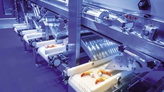 de-2021-04-825-shutterstock-1290068992-fotogrin (Quelle: FOTOGRIN/shutterstock)