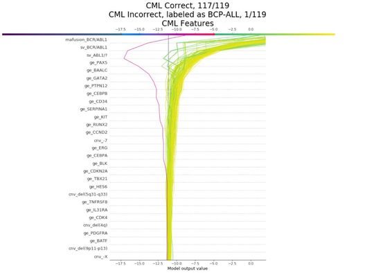 Abb. 5: SHAP-Kraftdiagramm für einen CML-Patienten mit korrekter Vorhersage. Die gelben Linien zeigen ein Entscheidungsdiagramm für jeden Patienten mit CML, davon 117 mit korrekter Vorhersage. Die rote Linie stellt Patienten mit falscher Vorhersage dar.(Bild:  Amazon Machine Learning Solutions Lab)
