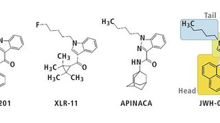 Abb. 1: Struktur verschiedener synthetischer Cannabinoide (Bild: Shimadzu)