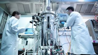 Messtechnik von Endress+Hauser unterstützt hygienische Anwendungen – für maximale Sicherheit, Effizienz und Produktqualität. (Bild: Endress+Hauser)