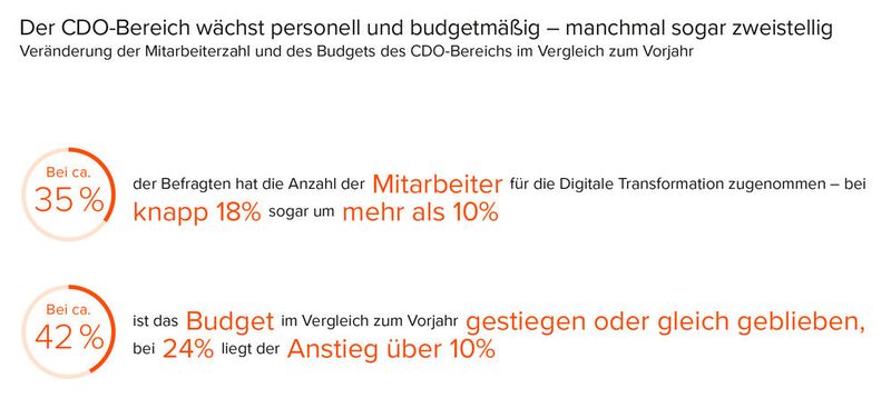 Der CDO-Bereich wächst personell und budgetmäßig. (Bild: TMG Consultants)