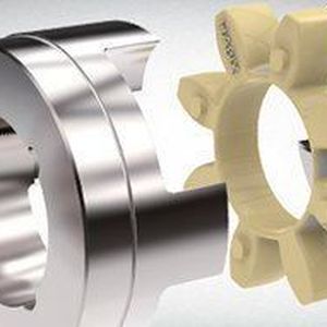 Drehelastische Klauenkupplung