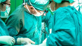 Die 3D-gedruckten Modelle geben Studierenden die Möglichkeit, an lebensechten Nachbildungen des menschlichen Körpers zu arbeiten und zu lernen. (Bild: Gemeinfrei // Pixabay)