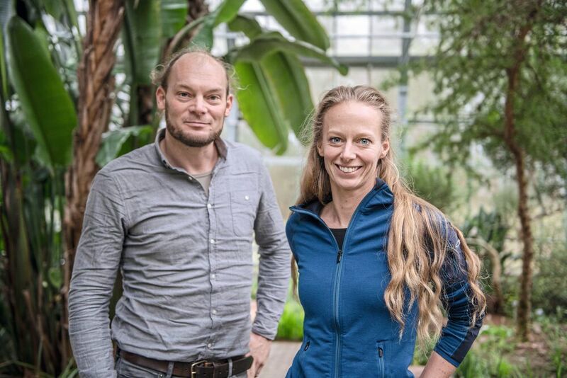 Felix Hager und Kathrin Krausa sind nach Afrika gereist, um dort das Verhalten von Ameisen zu untersuchen.   (© RUB, Marquard  )