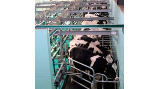 Der ANG fordert für Mittelständler wie Molkereien mehr Flexibilität. (Bild: gemeinfrei)