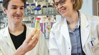 Ein Forscherteam der Universität Bremen um Professorin Dorothea Brüggemann und den Doktoranden Karsten Stapelfeldt hat jetzt ein Fibrinogen-Netzwerk im Labor hergestellt, das Fortschritte bei der Wundheilung verspricht. (Kai Uwe Bohn / Universität Bremen)