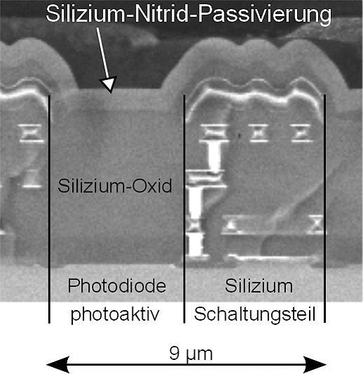 Abb. 2: Rasterelektronenmikroskopische Aufnahme eines Pixel-Querschnitts  (Bild: Fraunhofer IMS)