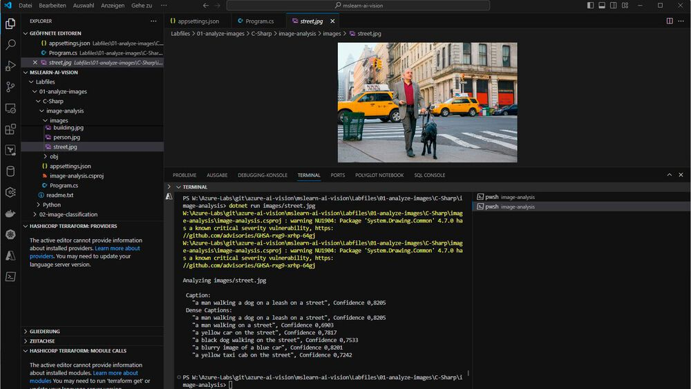 Classificazione delle immagini tramite Azure AI Vision SDK con C#