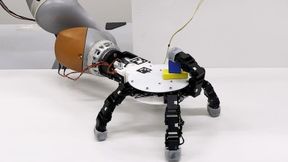 Die Roboterhand kann bis zu sechs identische Finger mit Silikonspitzen aufnehmen und behebt so die menschliche Asymmetrie, indem jede beliebige Fingerkombination opponierende Paare für einen daumenähnlichen Pinch‑Griff bilden kann. (EPFL)