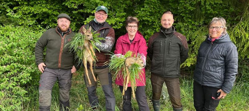 Einsatz für den Naturschutz: Bei einer We-Care-Aktion durchkämmten Mitarbeitende in Oberkochen rund 16 Hektar Wiesenfläche, um Rehkitze zu retten und so einen wichtigen Beitrag zum Artenschutz zu leisten.(Bild:  Leitz/Boehlerit/Bilz)