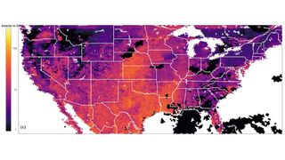 Dichte von Fluginsekten an einem typischen Sommertag (25. August 2021). Die Farben zeigen die Anzahl Insekten pro Quadratmeter vertikalen Luftraum an, hellere Farben zeigen höhere Dichten. Regen ist schwarz dargestellt. (Bild: The Author(s), Global Change Biology published by John Wiley & Sons Ltd)