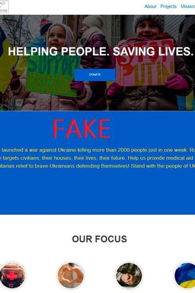 Fake-Websites können gut gemacht sein. (Bitdefender)